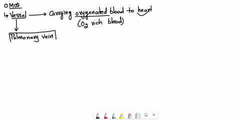 which-of-the-following-vessels-carries-oxygenated-blood-to-the-heart-1the-superior-vena-cava-o2the-inferior-vena-cava-o3the-pulmonary-vein-o4the-coronary-sinus-13984