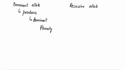what-is-the-difference-between-dominant-allele-and-recessive-allele-58254