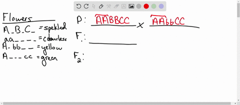 construct-a-representation-showing-the-connection-between-the-process-of-meiosis-and-the-transmission-of-six-possible-phenotypes-from-parents-to-f2-offspring-the-phenotypes-are-labeled-a-a-b-58047