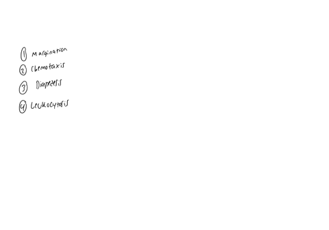 select-the-answer-which-lists-the-stages-of-phagocyte-mobilsation-in-correct-order-1-margination-2-chemotaxis-3-diapedesis-4-leukocytosis-1-leukocytosis-2-margination-3-diapedesis-4-chemotaxis-1-chemo