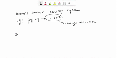 which-is-an-example-of-when-hectors-somatic-sensory-system-is-in-control-after-a-long-run-his-body-is-sweating-when-jogging-he-sees-an-ice-patch-and-decides-to-change-directions-to-a-differe-45262