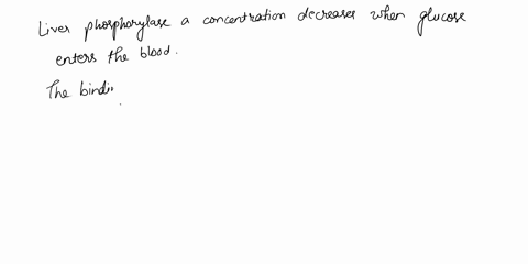 identify-the-true-statements-regarding-liver-glycogen-phosphorylase-a-protein-phosphatase-1-is-abbreviated-pp1a-phosphorylase-a-prevents-early-glycogen-synthase-activationb-when-pp1-is-bound-40862