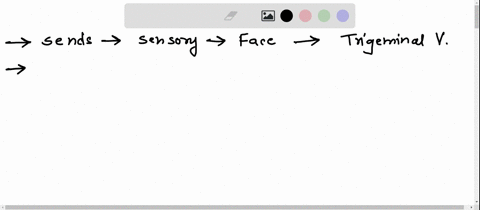 reset-help-trigeminal-v-sends-taste-sensation-from-the-anterior-two-thirds-of-the-tongue-and-also-controls-accessory-xi-facial-expressions-lacrimal-and-salivary-glands-abducens-vi-is-a-mixed-34287