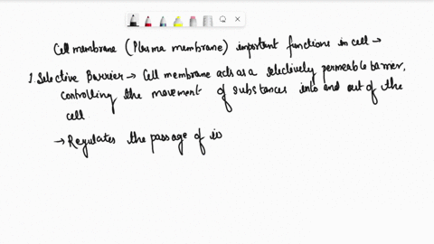 what-is-the-function-of-each-organelle-cell-membrane-02703