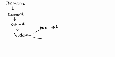 glycogen-phosphorylase-catalyzes-the-removal-of-glucose-form-glycogen-go-is-31-kjmol-a-05pt-calculate-the-ratio-of-pi-to-glucose-1-phosphate-at-equilibrium-hint-the-removal-of-glucose-units-48016