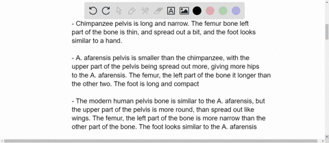 1-compare-the-pelvis-the-femur-and-the-foot-of-a-chimpanzee-left-australopithecus-afarensis-middle-and-a-modern-human-right-2_-describe-how-can-you-tell-which-ones-are-bipedal-vs-quadrupedal-84894