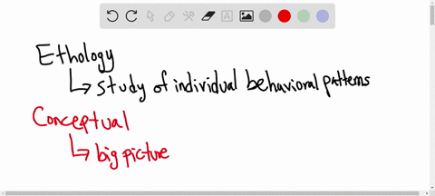 conceptual-approaches-to-ethology-involve-neg-ecting-past-observations-and-experiments-in-order-to-generate-novel-concepts-concerning-animal-behavior-conducting-controlled-experimental-studi-96961
