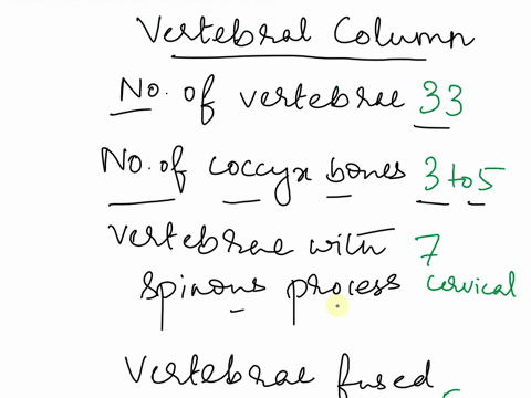 n3-fill-in-the-following-sentences-regarding-the-vertebral-column-with-the-correct-word-then-put-describe-the-vertebral-column-from-superior-to-inferior-drag-the-text-blocks-below-into-thelr-44839