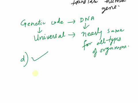 bacteria-are-able-to-successfully-transcribe-and-translate-human-genes-because-a-both-bacteria-and-2-62083