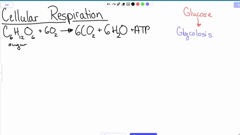 review-the-overall-equation-of-cellular-respiration-then-use-the-terms-to-complete-the-concept-map-each-answer-dock-may-require-one-or-several-labels-some-labels-will-not-be-used-71778