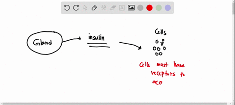which-of-the-following-is-required-for-a-target-organ-to-respond-to-a-particular-hormone-the-cells-in-the-target-organ-must-have-receptors-that-recognize-and-bind-the-hormone-molecule-cells-09286