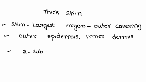 15-thick-skin-nas-icc-di-fferent-epidcnal-strala-has-fcwcr-layers-of-cclls-in-the-strtum-comeum-than-thin-skin-found-covenng-mosl-ofthe-body-found-friction-such-palms-uneus-subject-oicssuic-80698