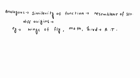 define-analogous-and-homologous-traits-and-provide-an-example-of-each-07212