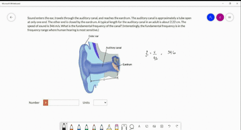 sound-enters-the-ear-travels-through-the-auditory-canaland-reaches-the-eardrum-the-auditory-canalis-approximately-a-tube-open-at-only-oneend-the-other-end-is-closed-by-the-eardrum-a-typical-92094