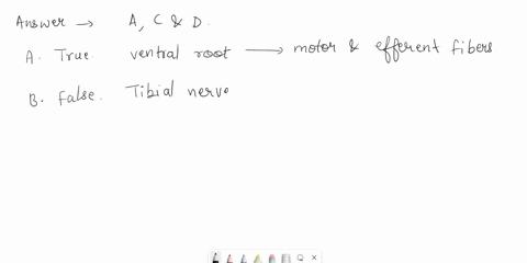 which-of-the-following-statements-concerning-the-structure-of-spinal-nerves-is-true-select-all-that-apply-da-the-ventral-root-contains-motor-or-efferent-fibers-ob-the-tibial-nerve-is-involve-15709