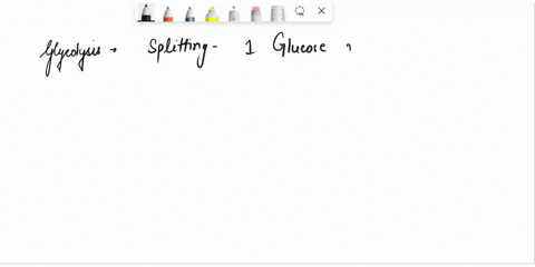 question-14-glycolysis-occurs-in-the-mitochondria-of-the-cell-true-false-58124