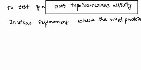 question-1youve-discovered-a-novel-protein-and-suspect-that-it-is-a-dna-topoisomerase-describe-how-you-will-design-an-in-vitro-experiment-to-test-for-the-activity-of-this-novel-protein-to-de-64449