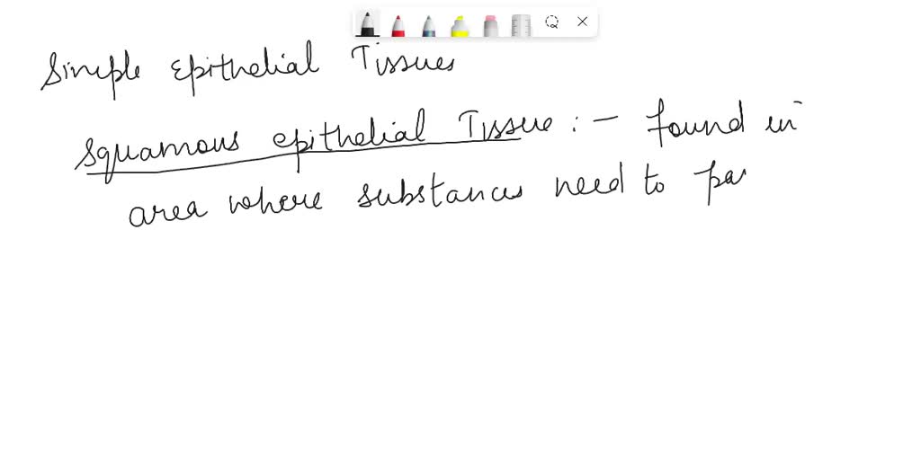 SOLVED Texts 1. Can you name some functions of epithelial tissue? 2