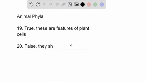question-19-animals-cells-lack-cell-walls-and-chloroplasts-true-false-question-20-cniderians-show-bilaleral-symmelry-true-false-question-21-oqtopl-and-squids-belong-t0-the-phylum-_-87993