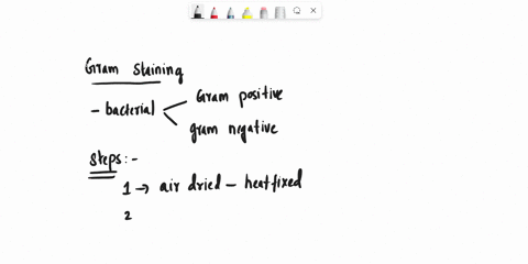 how-is-gram-stain-done-and-what-types-of-bacteria-are-stained-differently-in-the-gram-stain-33787
