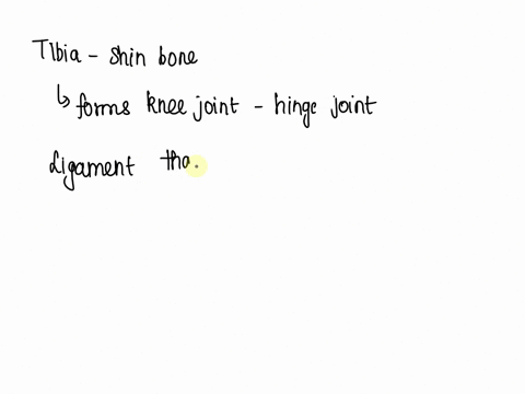 which-of-the-following-ligaments-prevents-the-tibia-from-sliding-forward-in-the-knee-joint-otibial-collateral-ligament-o-anterior-cruciate-ligament-arcuate-popliteal-ligament-ooblique-poplit-08223