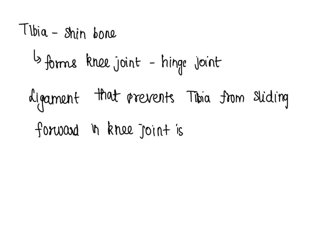 SOLVED: Pes Planus Distortion syndrome is classified by flat feet with