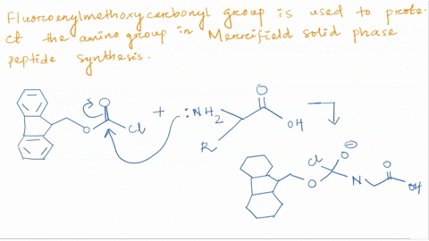 prolcins-mrctotoncosi-the-fluorenylmethoxycarbonyl-group-is-used-to-protect-the-amino-group-of-amino-acids-during-the-merrifield-solid-phase-peptide-synthesis-procedure-the-group-then-remove-20369