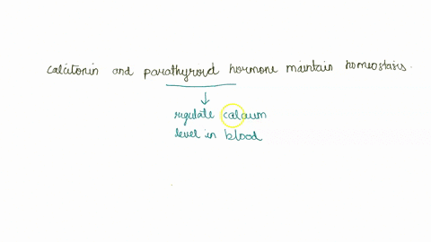 what-is-one-way-that-calcitonin-and-parathyroid-hormone-maintain-homeostasis-a-calcitonin-stimulates-the-kidneys-to-excrete-calcium-when-calcium-levels-are-too-high-while-parathyroid-hormone-66253