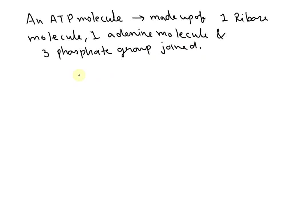 SOLVED An ATP molecule is made up of 1 ribose molecule, 1 adenine