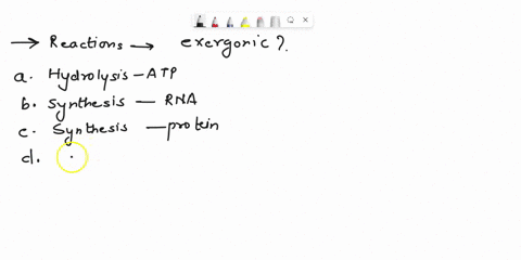 whichpf-the-following-reactions-is-most-likely-to-be-exergonic-the-hydrolysis-of-atp-the-synthesis-of-rna-from-free-nucleotides-the-synthesis-of-protein-from-amino-acids-phosphorylation-of-a-55118