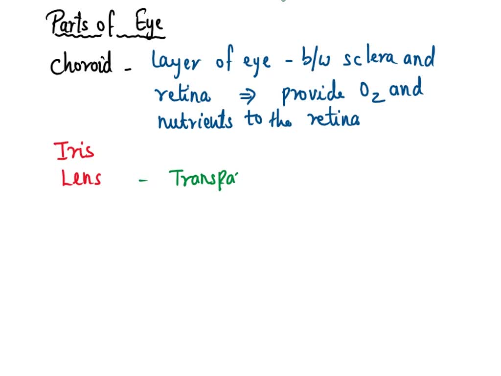 SOLVED: Complete the following eye structures chart. Part of the Eye ...