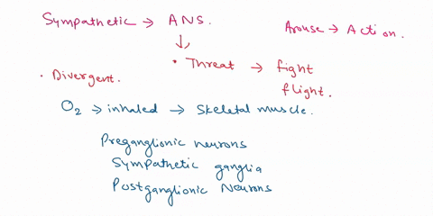 select-all-of-these-that-are-responses-of-the-sympathetic-division-of-the-ans-increased-secretions-from-the-adrenal-medulla-decreased-heart-rate-dilation-of-bronchioles-constriction-of-bronc-31335