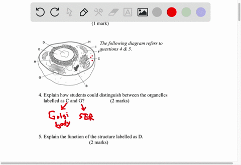 3-list-one-other-organelle-which-you-can-see-in-the-diagram-above-mark-the-following-diagram-refers-to-questions-4-5-explain-how-students-could-distinguish-between-the-organelles-labelled-as-99881