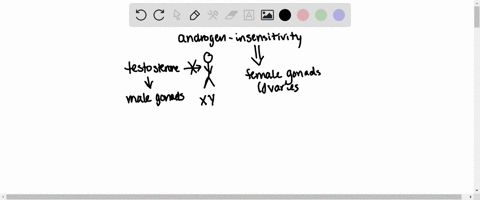 4-what-gonads-will-be-expressed-by-a-person-with-androgen-insensitivity-syndrome-a-testes-b-ovaries-c-both-d-either-its-decided-at-random-5-match-the-syndrome-with-the-correct-sex-chromosome-68702
