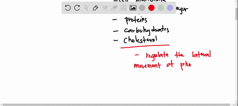 the-presence-of-cholesterol-in-the-plasma-membranes-of-some-animals-group-of-answer-choices-a-makes-the-membrane-less-flexible-allowing-it-to-sustain-greater-pressure-from-within-the-cell-b-76294