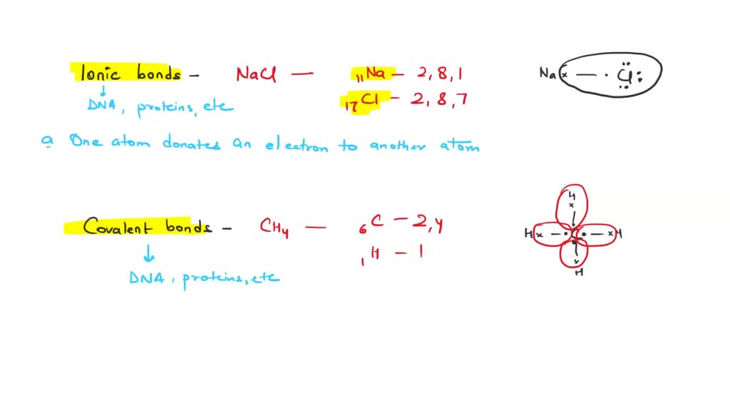 SOLVED Exercise 3 Label the atom diagram with protons electrons and