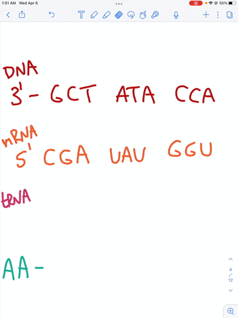 you-may-want-to-refcrenco-pages-737-742-section-21_-while-completing-this-problem-the-following-sequence-portion-the-dna-template-strand-part-b-what-are-the-anticodons-tne-trnas-for-the-mrna-00633