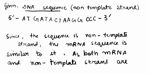 a-nontemplate-strand-of-bacterial-dna-has-the-following-base-sequence-what-amino-acid-sequence-will-be-encoded-by-this-sequence-5-atgatactaaggccc3-57755