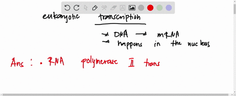 hich-of-the-following-isare-true-about-eukaryotic-transcription-rna-polymerase-transcribes-the-protein-coding-genes-poly-a-tail-is-the-last-part-of-the-transcript-synthesized-by-rna-polymera-14475