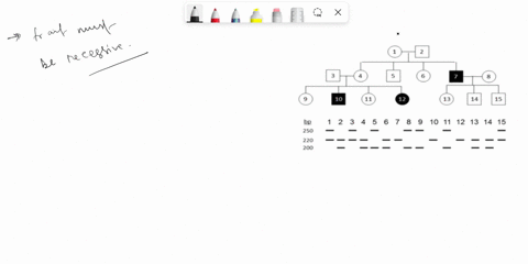 3-total-2-points-consider-the-following-pedigree-and-microsatellite-analysis-a-1-points-what-is-the-genetic-basis-of-this-trait-mode-of-inheritance-10-12-13-14-15-250-220-200-b-1-points-ther-30302