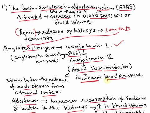 describe-how-the-renin-angiotensin-aldosterone-system-antidiuretic-hormone-and-atrial-natriuretic-peptide-each-work-to-regulate-reabsorption-and-secretion-01535