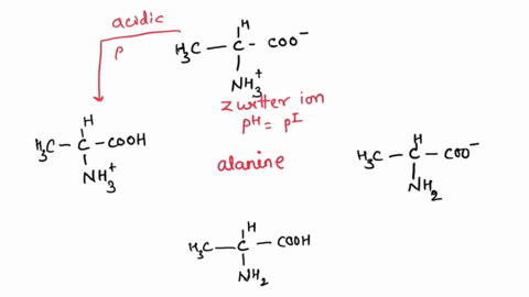place-each-charge-fom-of-alanine-under-the-ph-conditian-were-t-pka-values-for-tha-carboxyl-group-and-amino-group-of-alanine-would-be-the-predomhant-fon-the-are-approximately-23-and-97-respec-84108