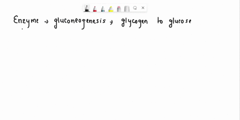 match-each-description-to-an-enzyme-involved-in-either-glycogen-synthesis-or-degradation-not-all-choices-will-be-used_-amylo-14-6-transglycosylase-choose-alycogan-synthase-glucoso-phosphatas-36636