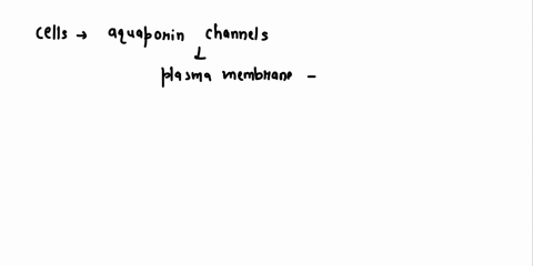 question-10-1-pts-is-the-following-statement-true-or-false-cells-with-aquaporin-channels-in-the-plasma-membrane-can-not-maintain-the-electrochemical-gradient-truc-question-11-1-pts-ifall-the-27797