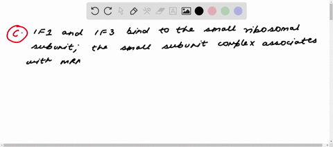 which-of-the-following-correctly-describe-the-sequence-of-events-in-the-initiation-of-prokaryotic-translation-initiation-trna-binds-to-the-p-site-if1-and-if3-bind-to-the-small-ribosomal-subu-11472