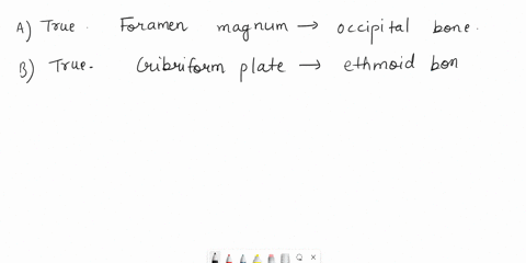 45-pointsmark-the-following-statements-as-true-or-falseif-a-statement-is-falsecorrect-it-to-make-it-a-true-statement-a-foramen-magnum-is-part-of-the-temporal-bone-bthe-cribriform-plate-is-a-90161