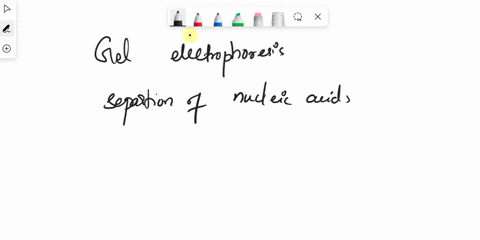 gel-electrophoresis-is-a-method-used-to-separate-fragments-of-biomolecules-such-as-chooselipids-sugars-dna-after-loading-a-sample-onto-a-gel-a-choosemagnetic-field-current-uv-light-the-sampl-13438