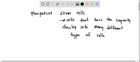 pluripotent-stem-cells-are-typically-derived-from-the-a-trophoectoderm-b-zygote-c-placenta-d-endoderm-e-inner-cell-mass-icm-of-a-blastocyst-60014