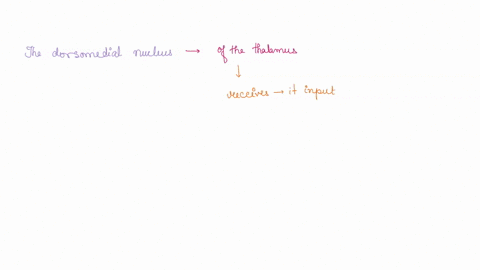 8-to-which-structures-does-the-dorsomedial-thalamus-send-information-directly-lateral-nucleus-of-the-amygdala-and_the-secondary-sensory-cortices-b-orbitofrontal-and-eeriforn-cortex-cprefront-20607
