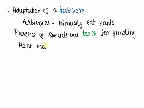 describe-one-adaptation-of-a-herbivore-and-one-adaptation-of-a-carnivore-for-obtaining-food-41382